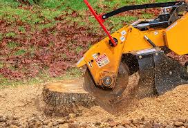 Seasonal Cleanup (Spring/Fall) in Potomac Heights, MD